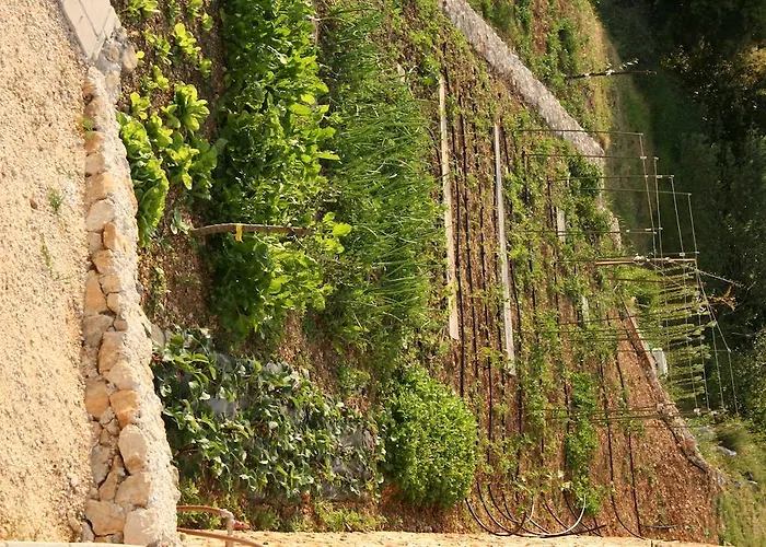 Villa Filip Spa&relax *