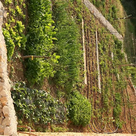 Villa Filip Spa & Relax *